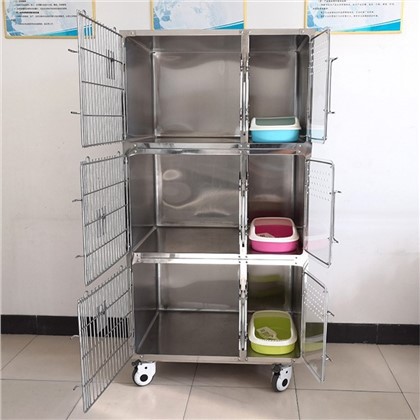 Kedi Evcil Hayvan Oyun Parkı